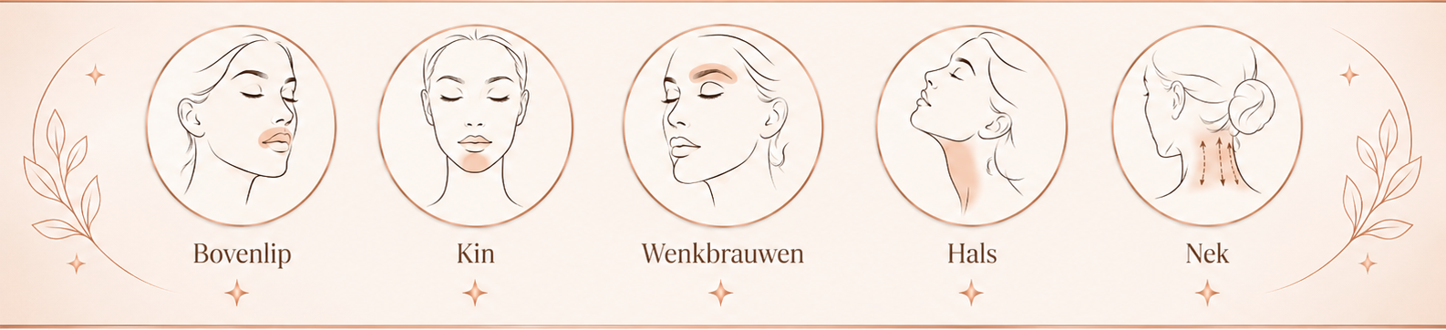 Gezicht dames
